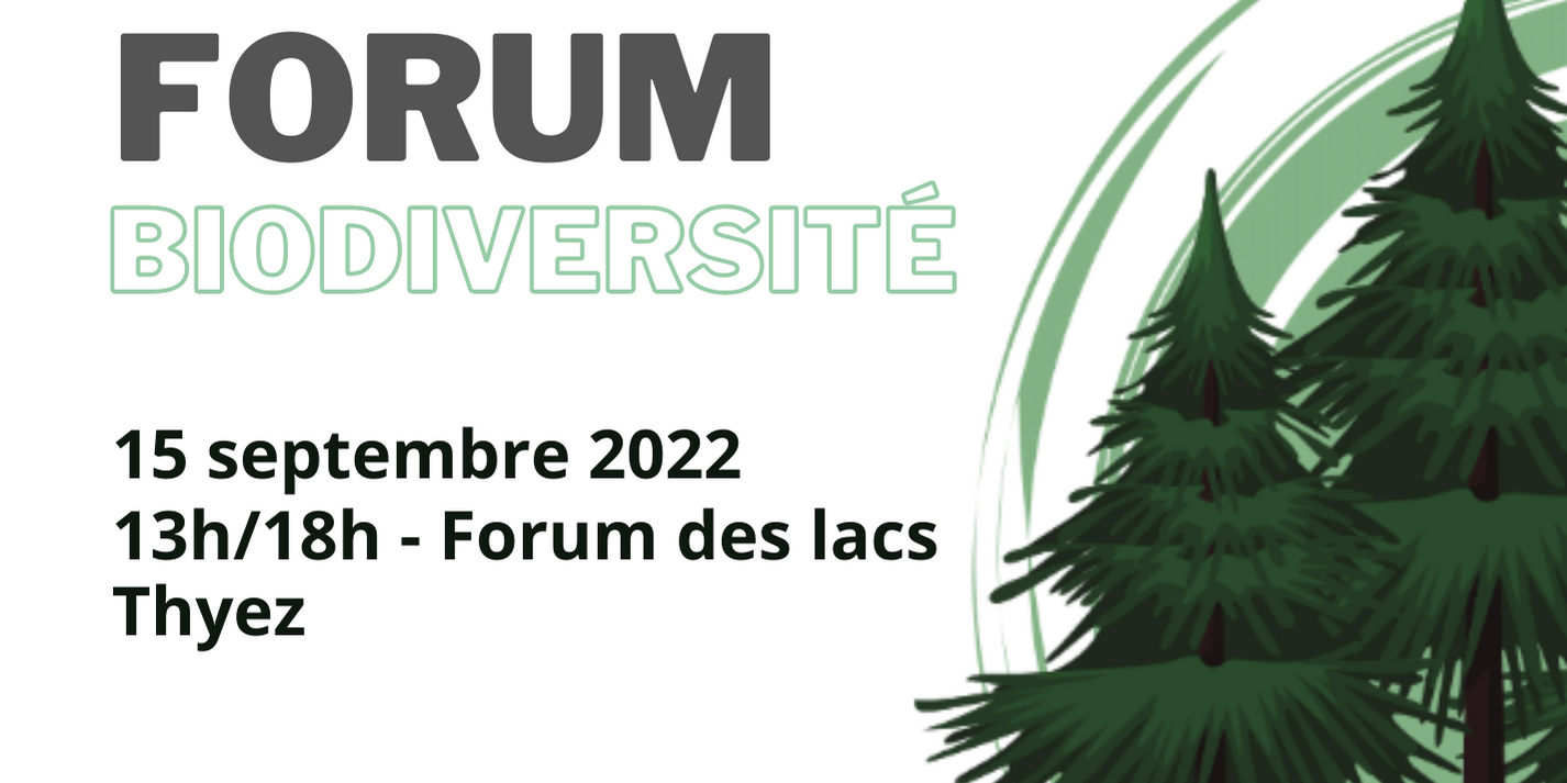 Invitation – Flyer (5)